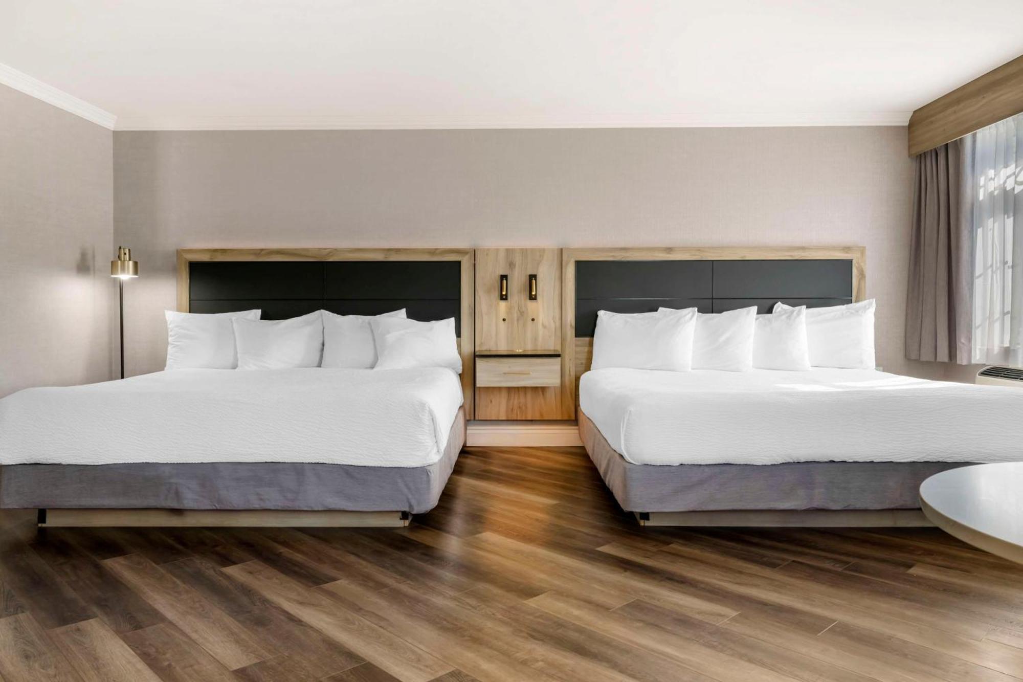 Best Western Plus Edmundston Bagian luar foto